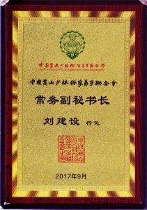 常务副秘书长